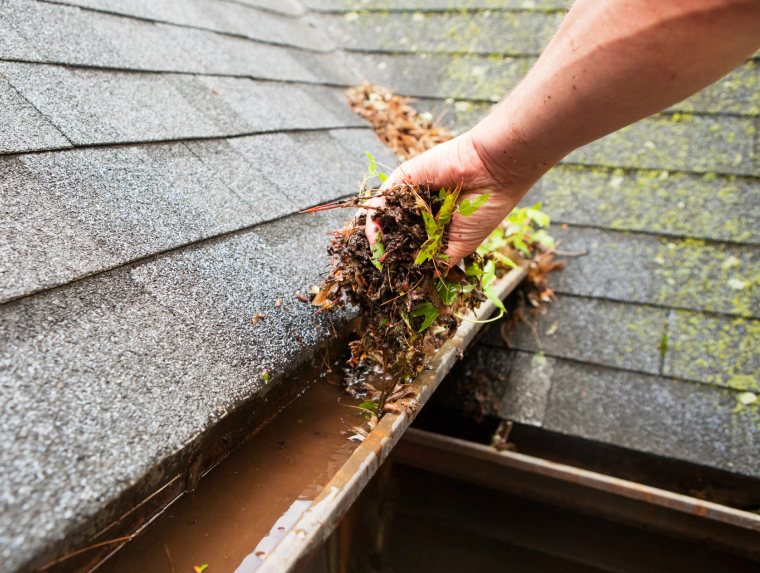 gutter cleaning